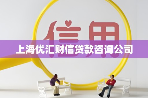 上海优汇财信贷款咨询公司