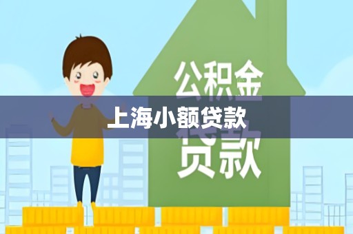 上海小额贷款