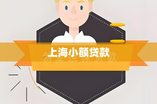 上海小额贷款
